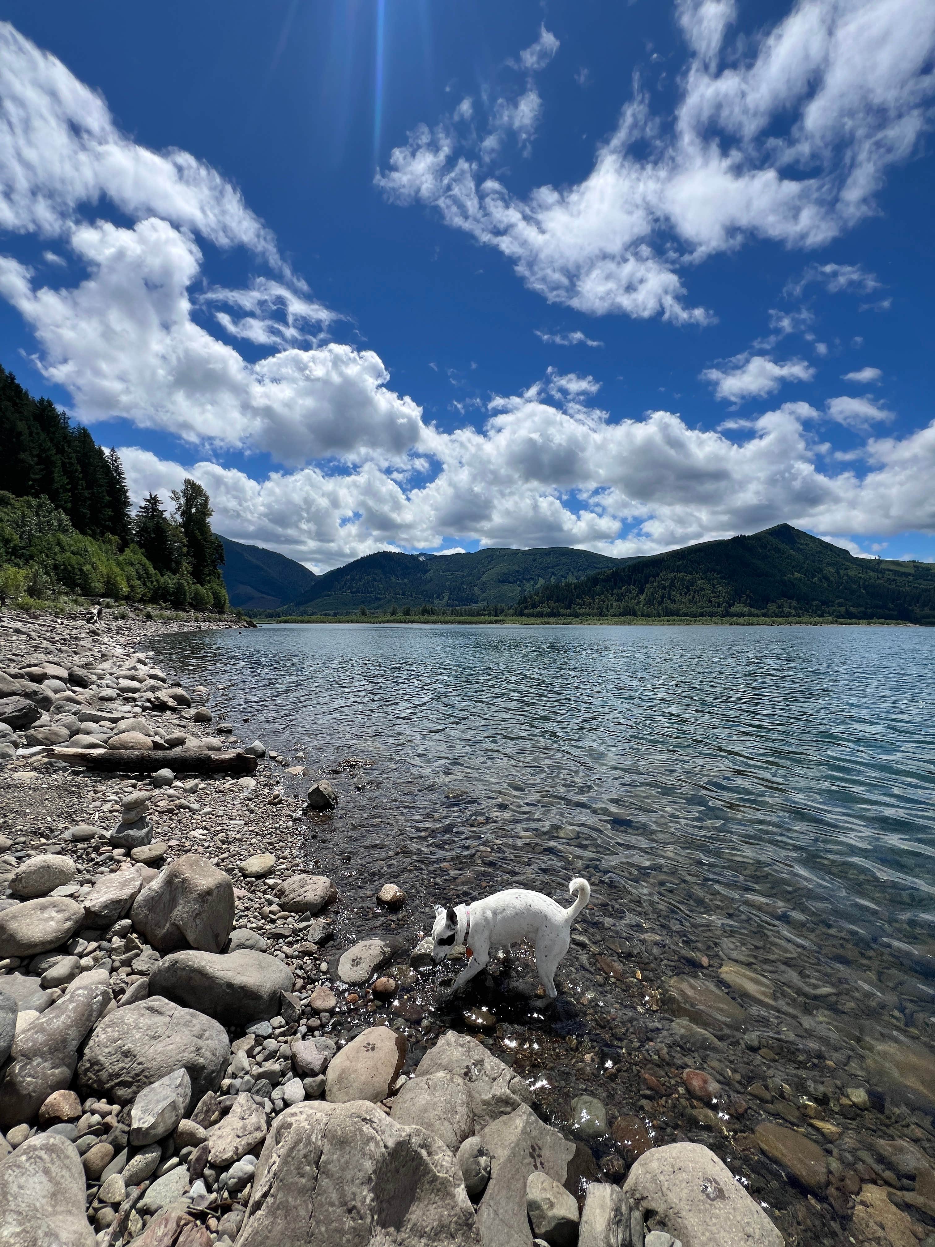 Camper-submitted photo at riffe lake near Onalaska, WA