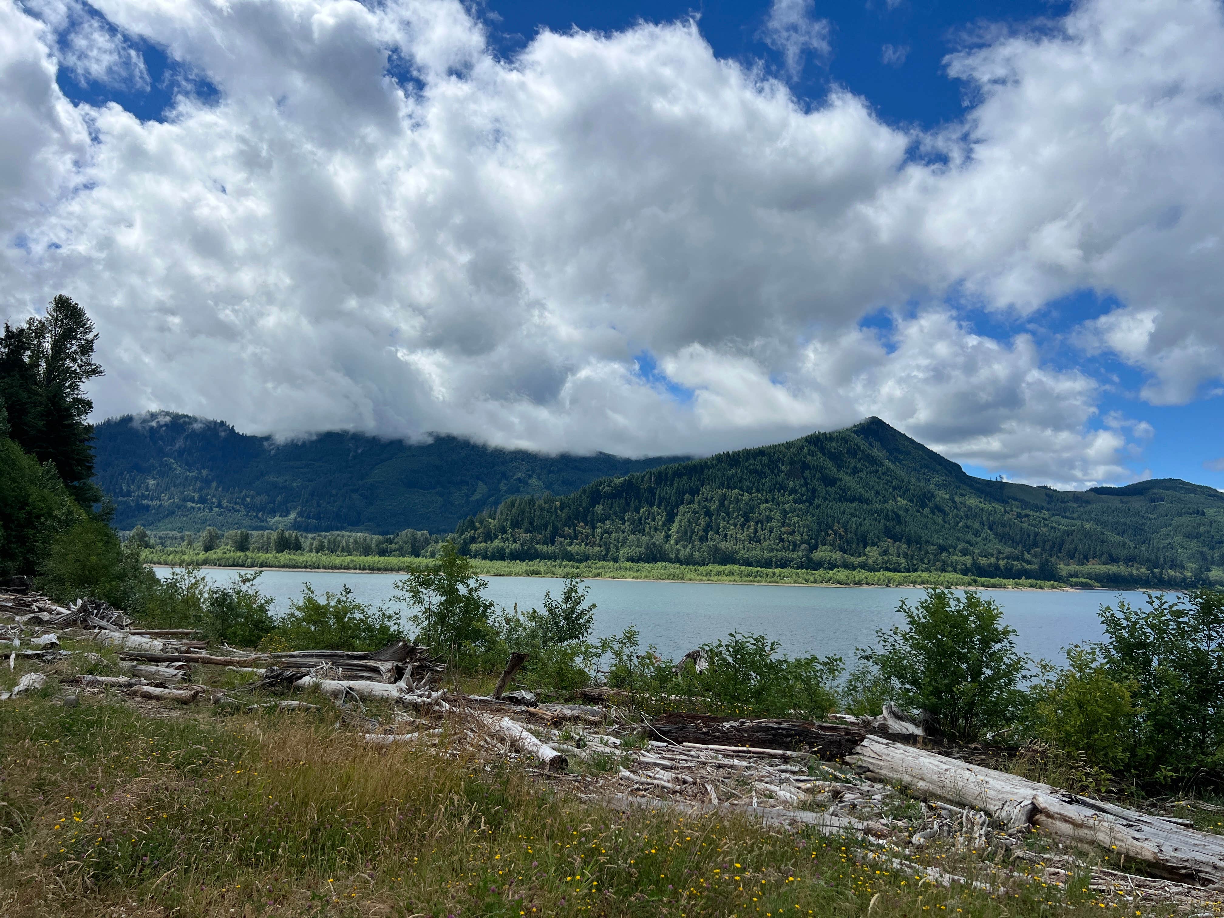 Camper-submitted photo at riffe lake near Onalaska, WA