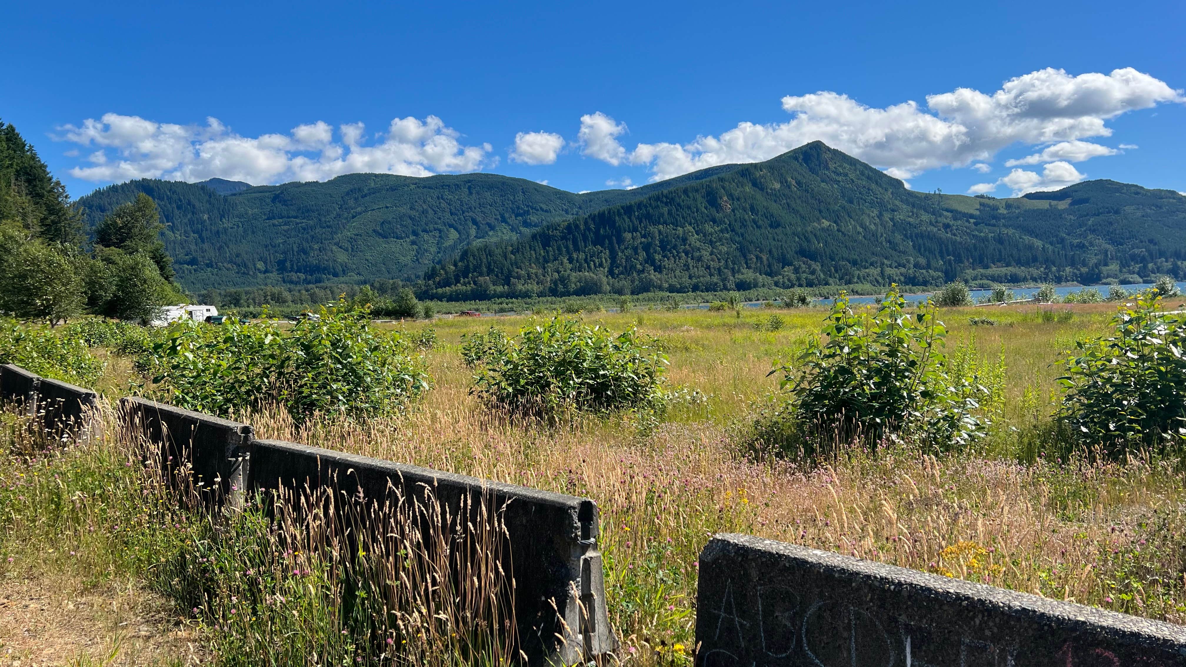 Camper-submitted photo at riffe lake near Glenoma, WA