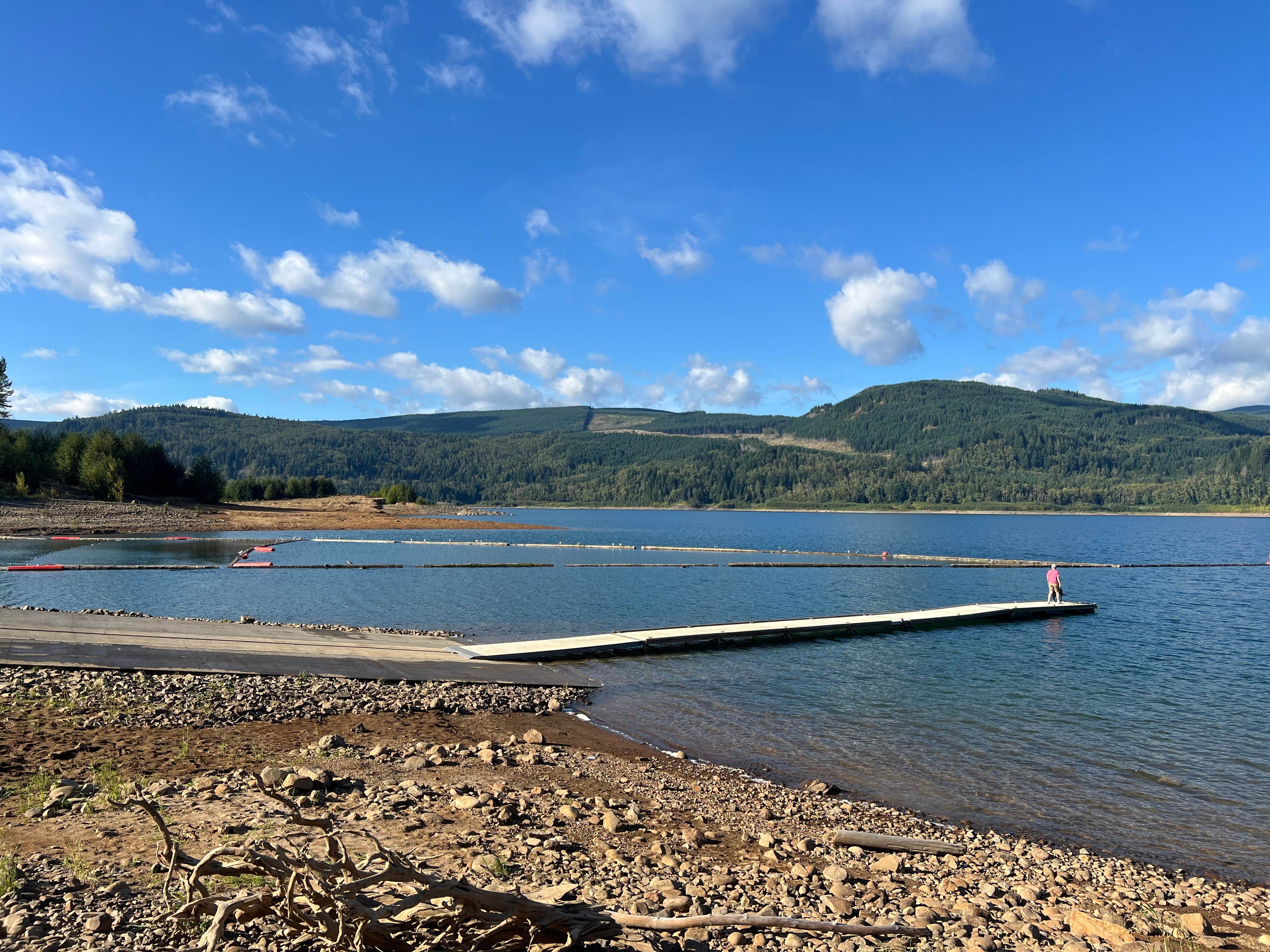 Camper submitted image from Riffe Lake Campground - 5