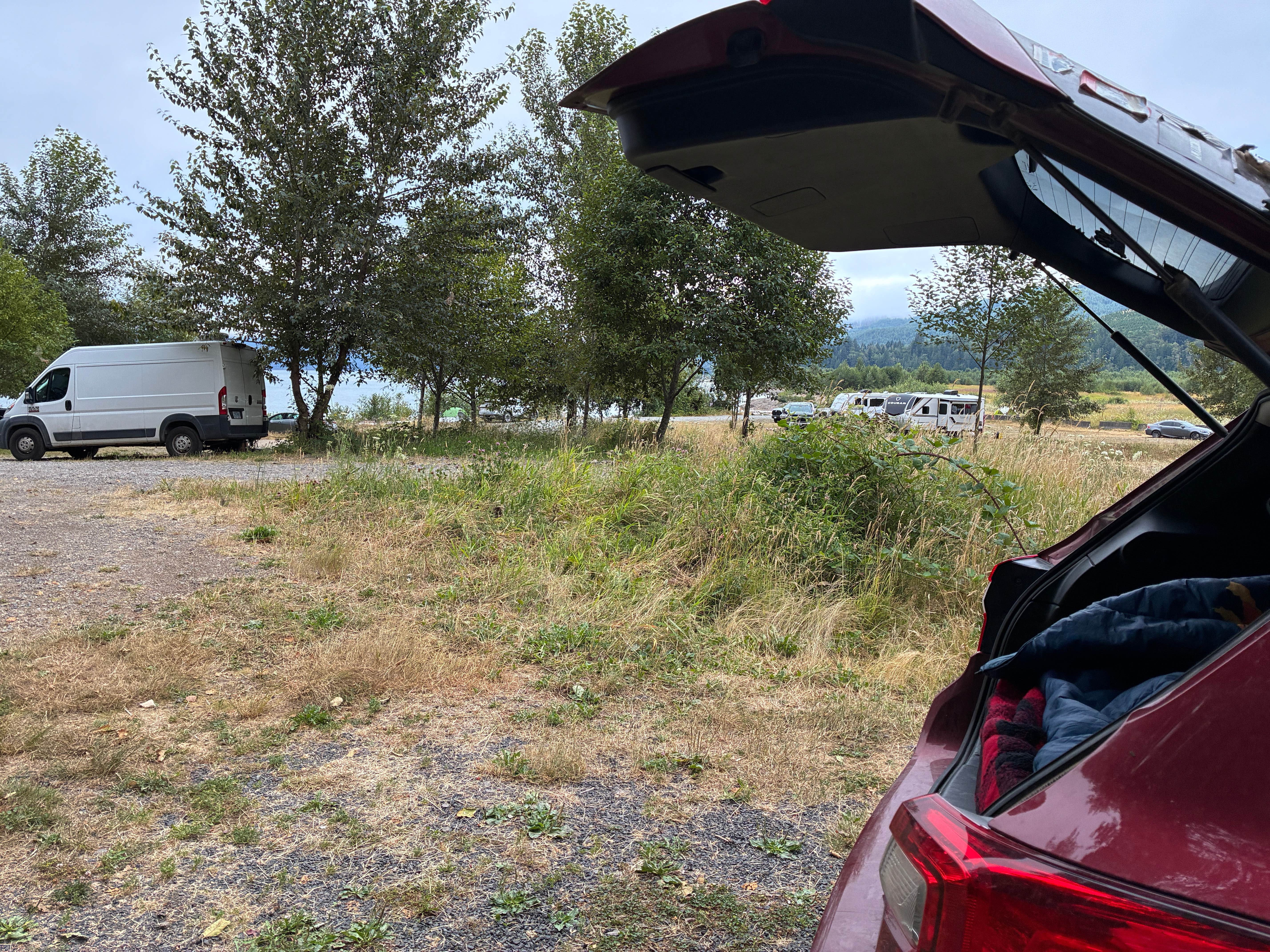 Camper-submitted photo at riffe lake near Rochester, WA