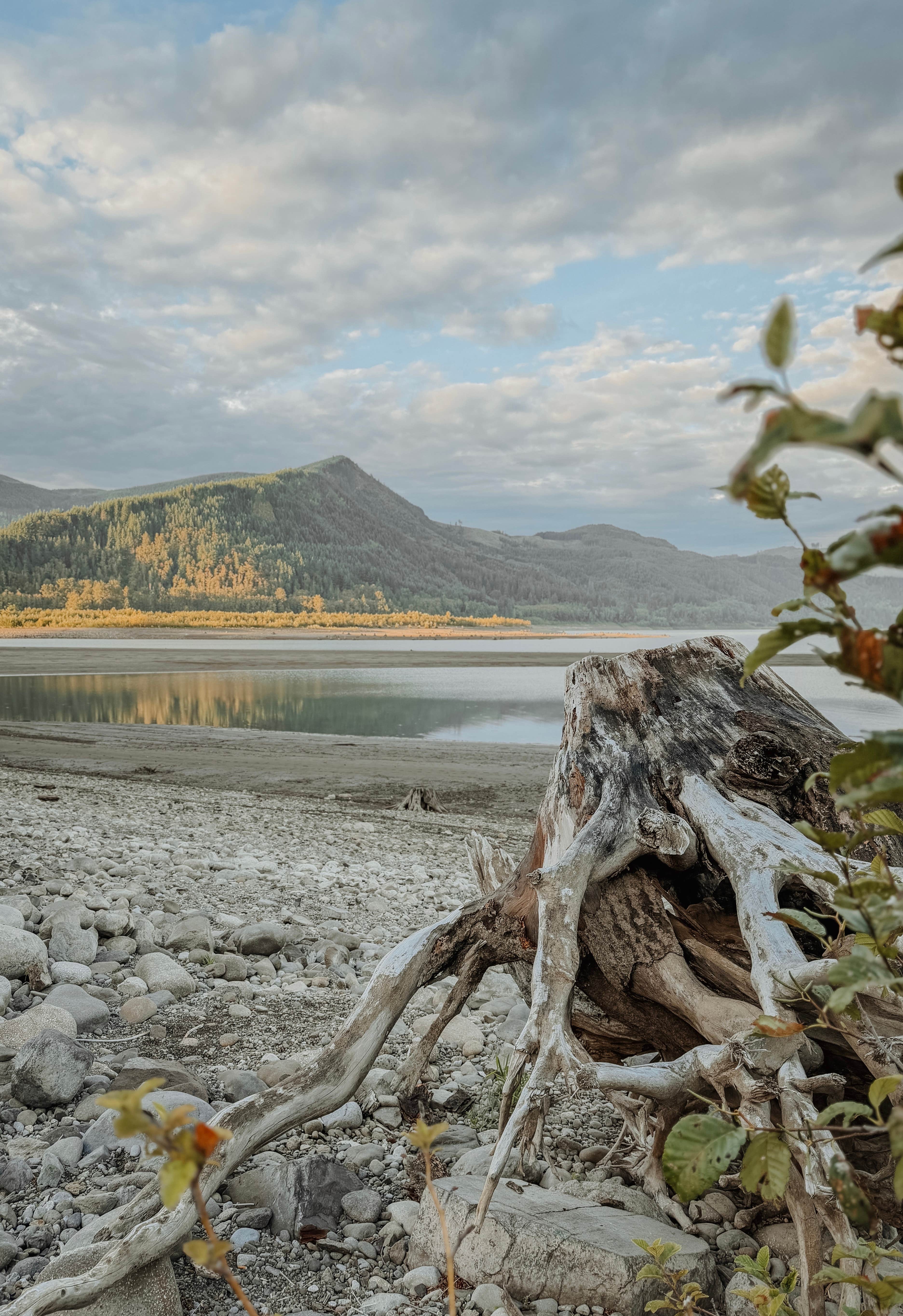 Camper-submitted photo at riffe lake near Mossyrock, WA