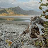 Review photo of riffe lake by Emmi O., September 15, 2026