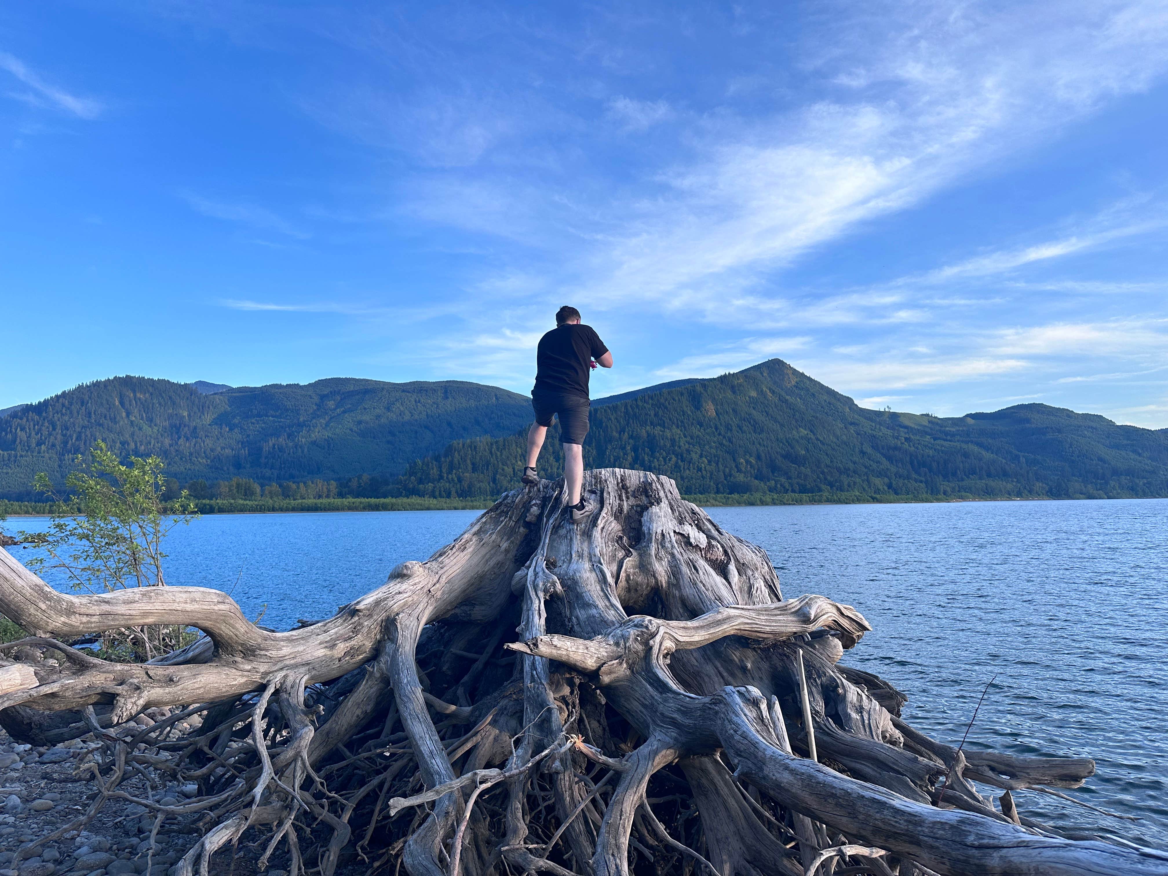 Camper-submitted photo at riffe lake near Toledo, WA