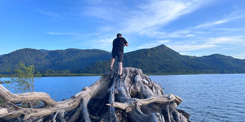 Camper submitted image from riffe lake