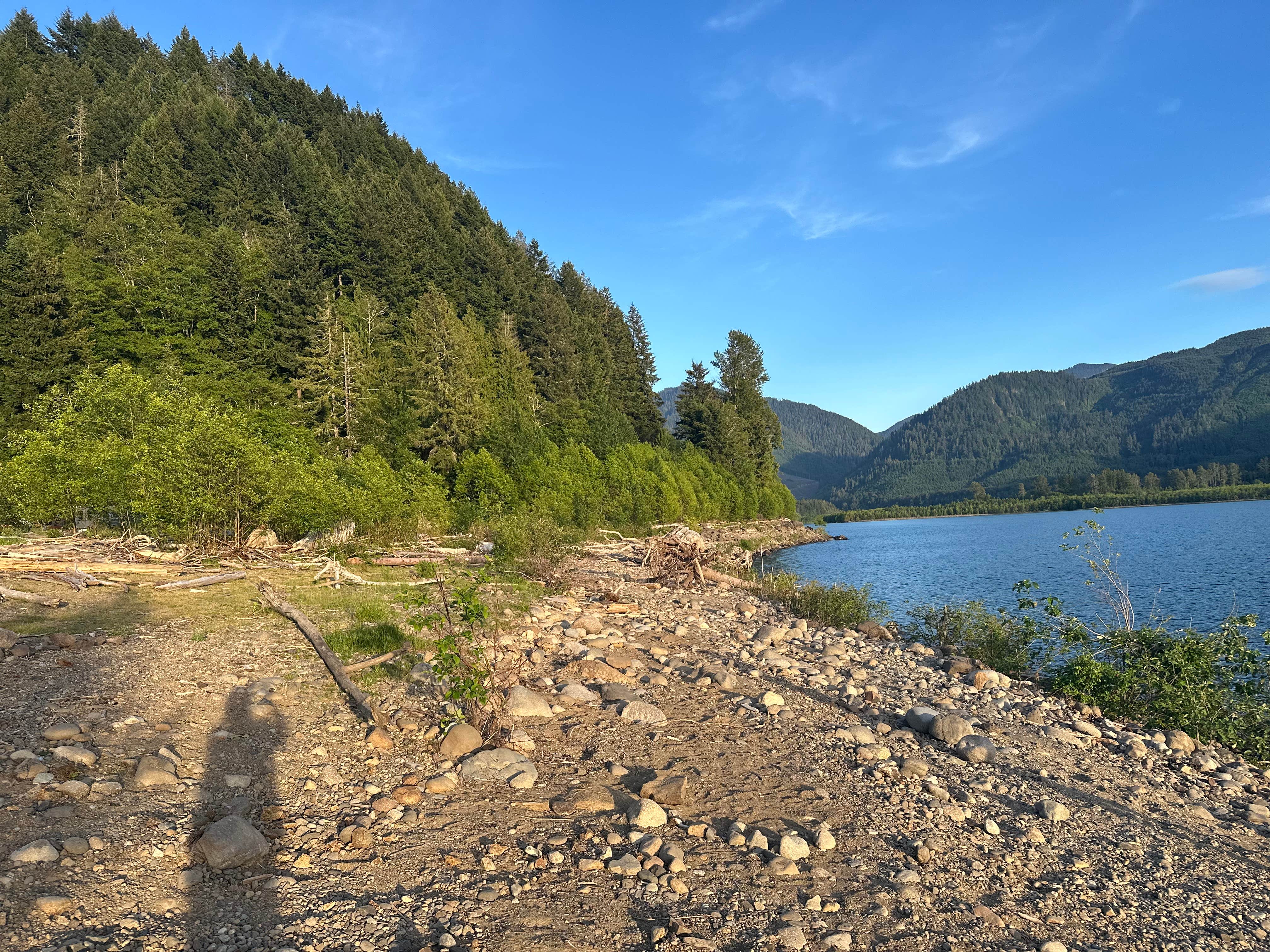 samantha W.'s photo of a dispersed camping area at riffe lake near Toledo, WA