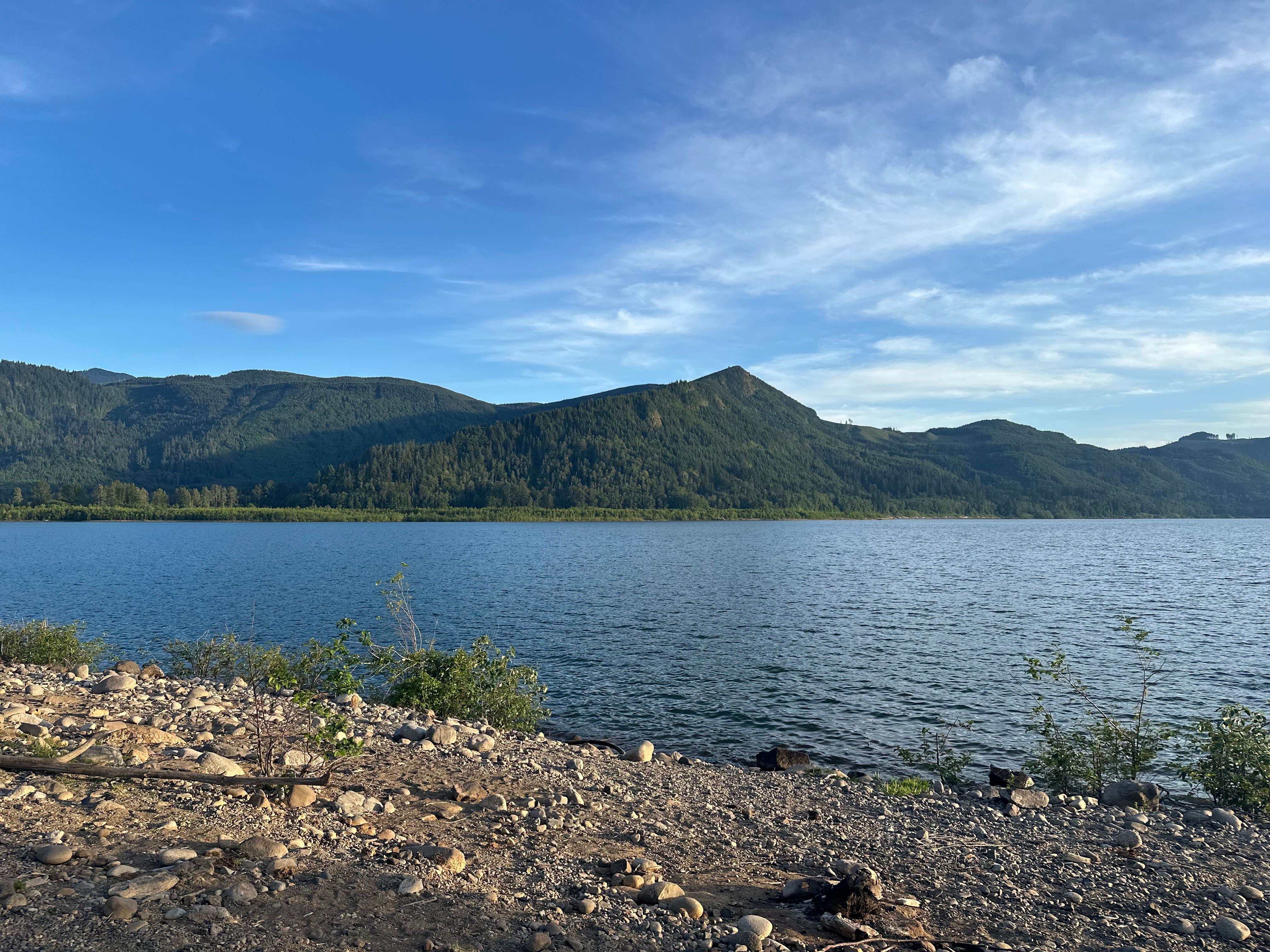 Camper-submitted photo at riffe lake near Toledo, WA