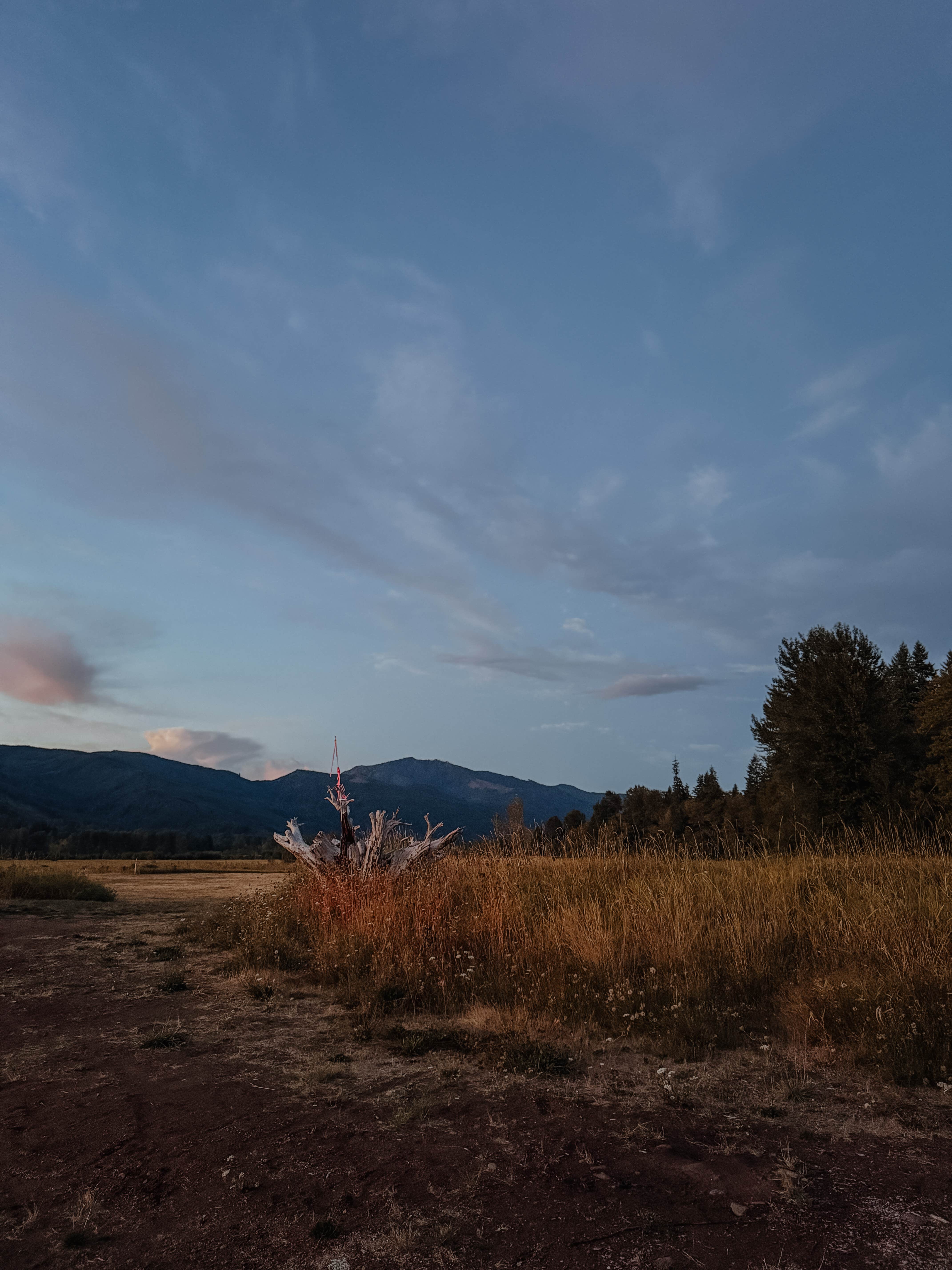 Camper-submitted photo at riffe lake near Mossyrock, WA