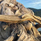 Review photo of riffe lake by samantha W., May 26, 2026