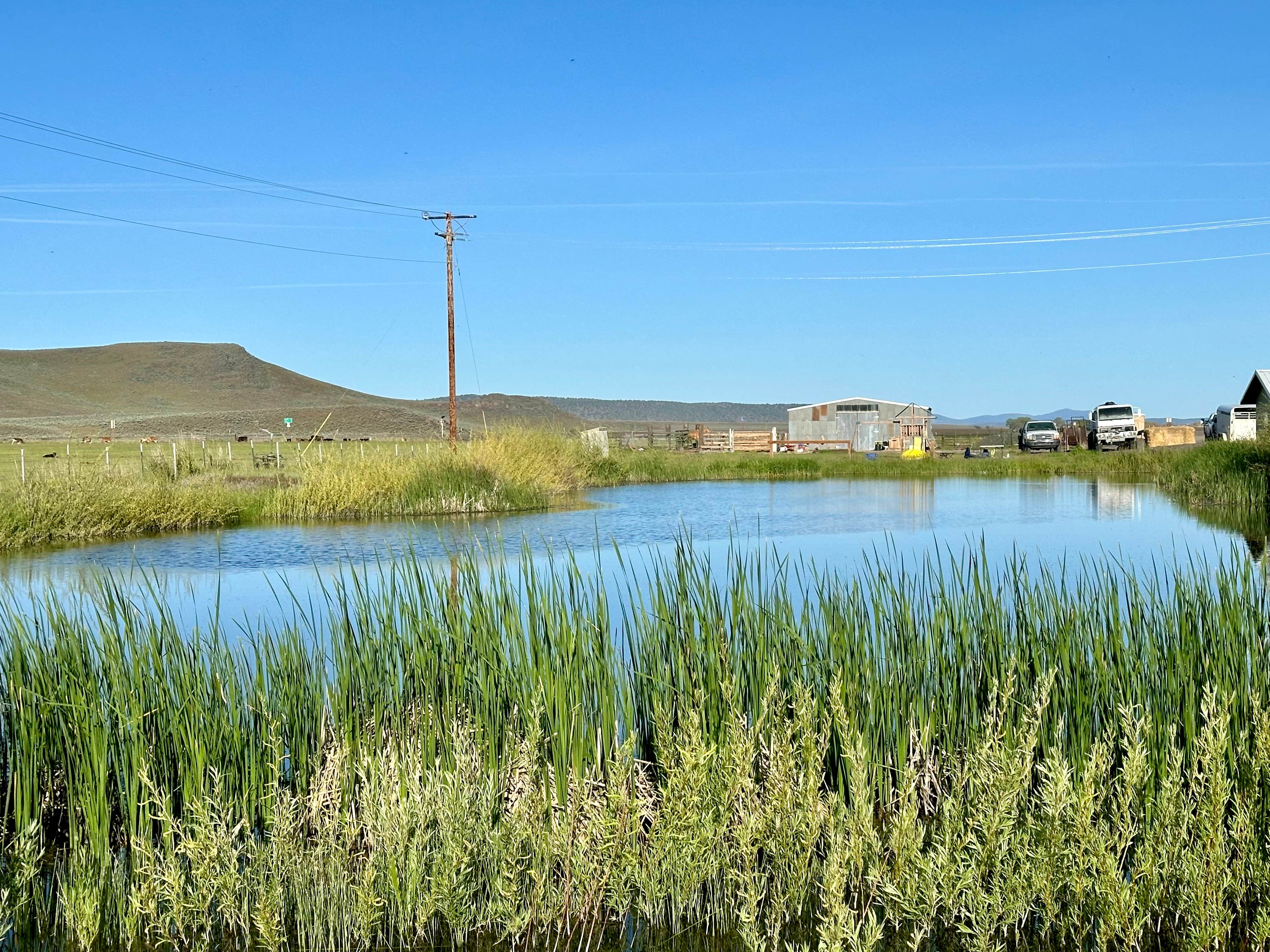 Camper-submitted photo at Riley Store Campground near Burns, OR