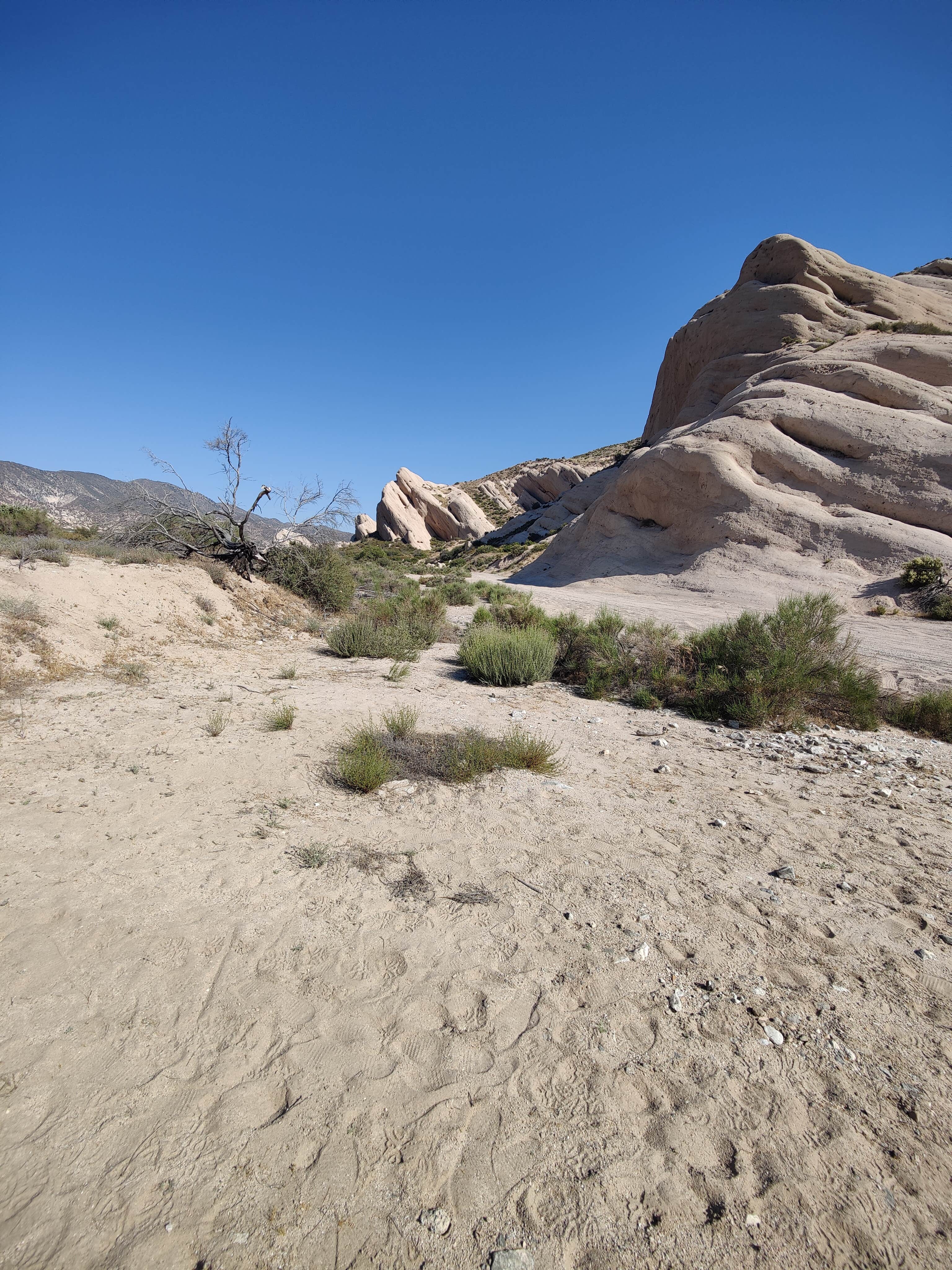Camper-submitted photo at Rim of the World Byway (near 15 fwy south) Dispersed near Villa Park, CA