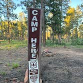 Review photo of Old Rim Road Dispersed Site by Raul M., July 4, 2024