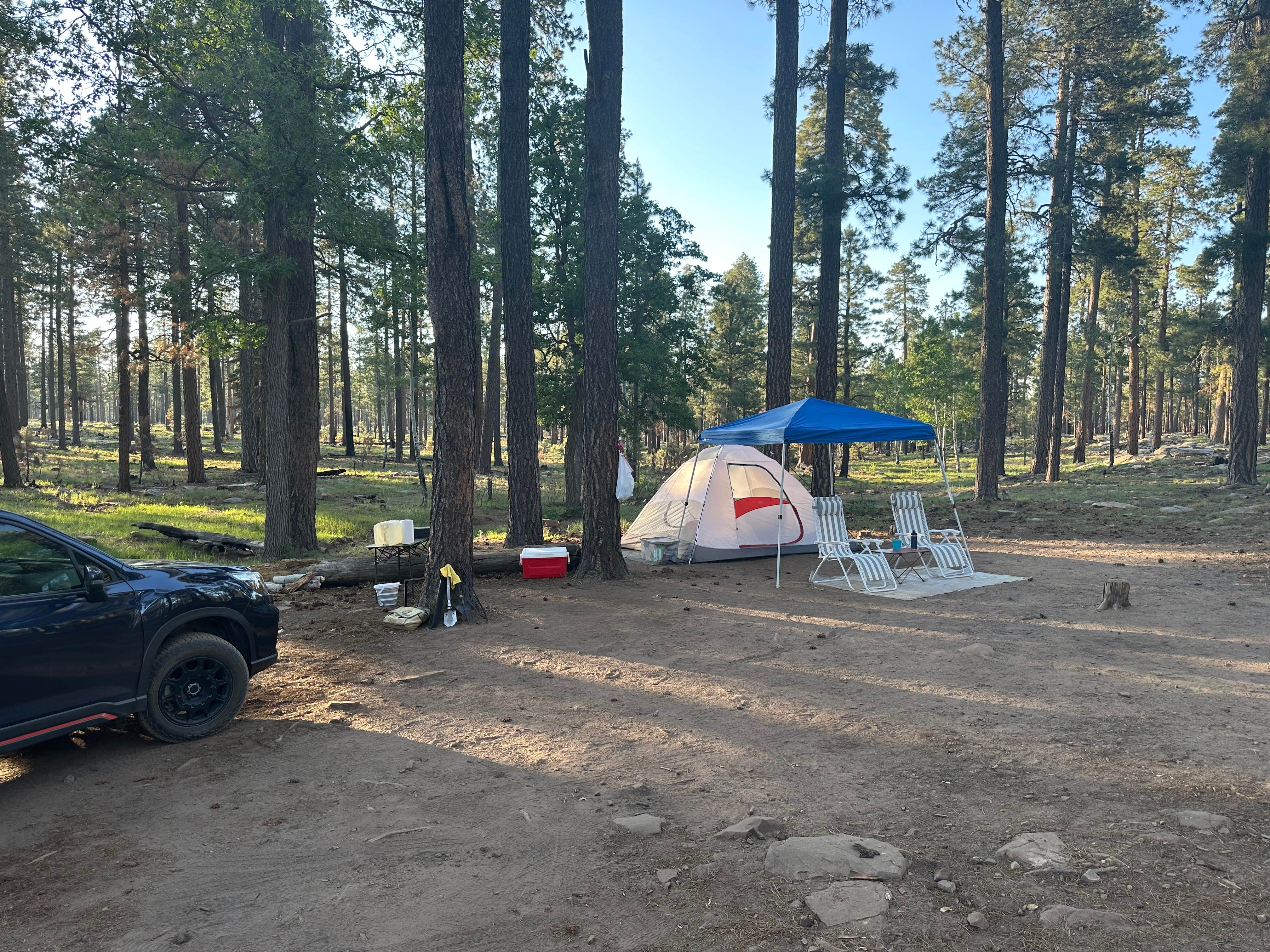 Monte W.'s photo of a dispersed camping area at Old Rim Road Dispersed Site near Young, AZ