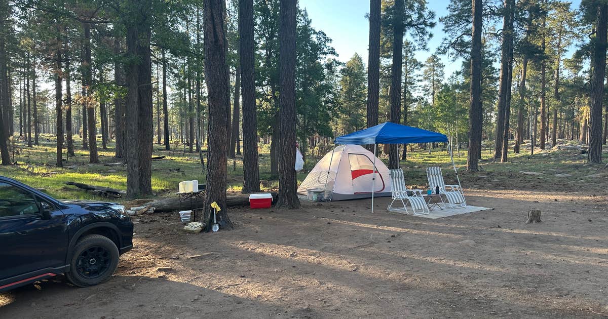 Old Rim Road Dispersed Site