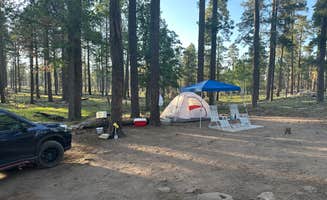 Monte W.'s photo of a dispersed camping area at Old Rim Road Dispersed Site near Young, AZ