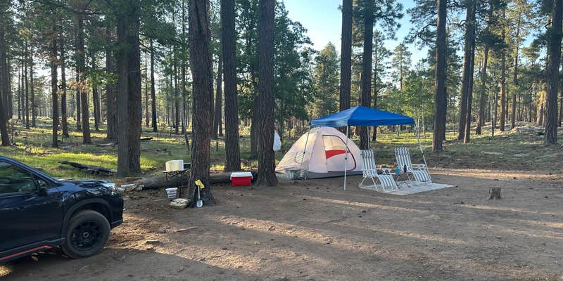 Camper submitted image from Old Rim Road Dispersed Site