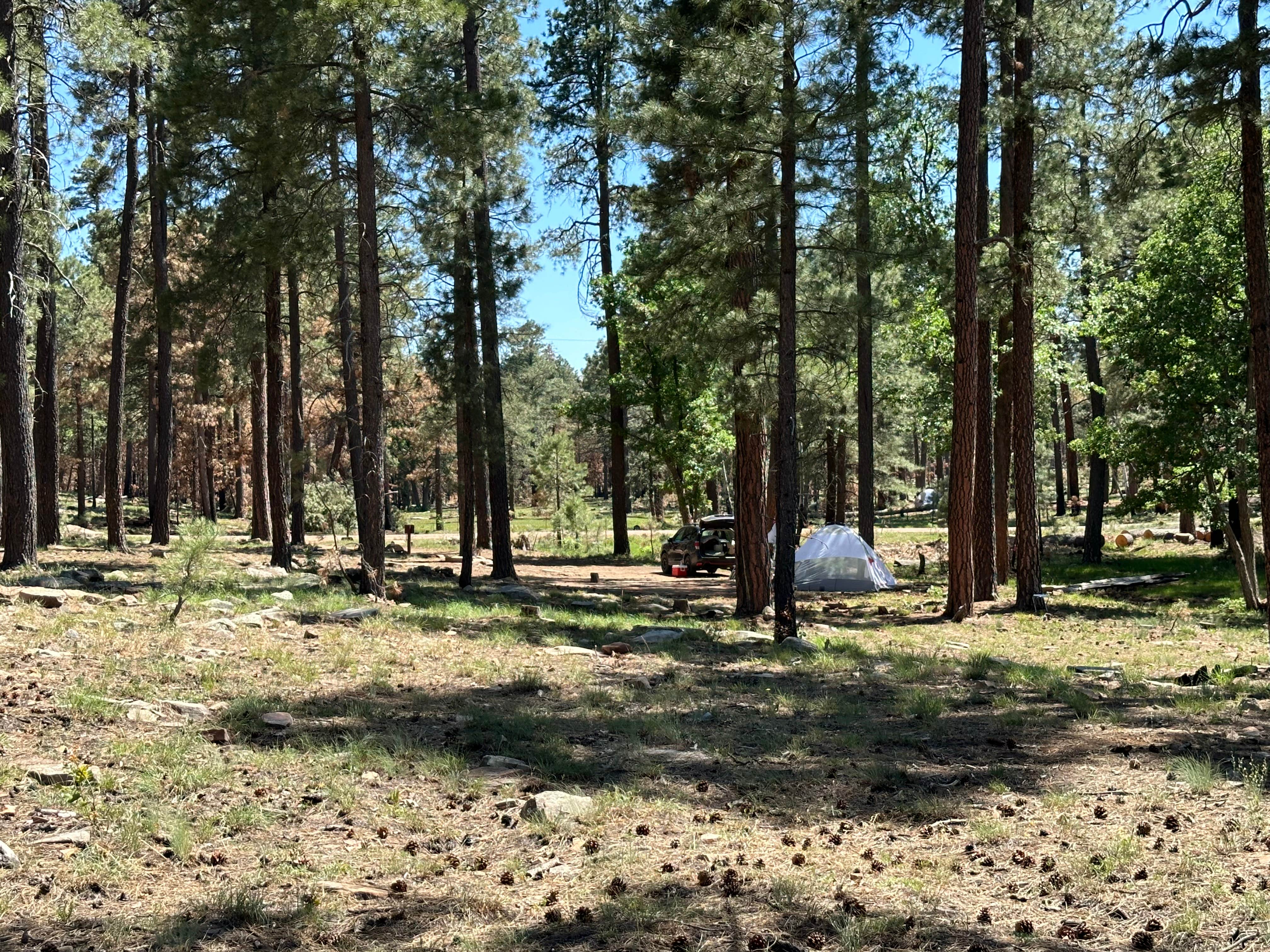 Camper-submitted photo at Old Rim Road Dispersed Site near Young, AZ
