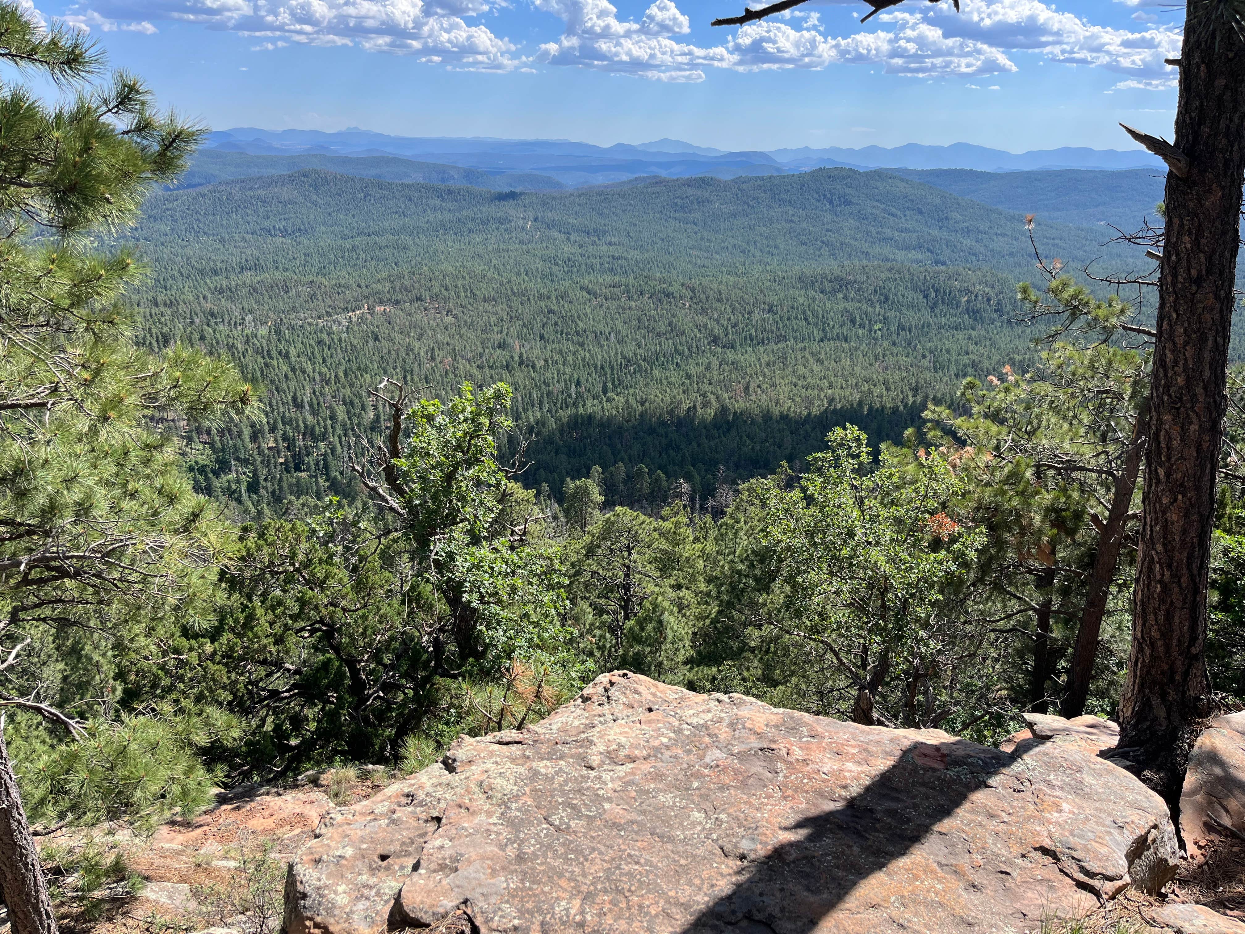 Camper-submitted photo at Old Rim Road Dispersed Site near Young, AZ