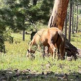 Review photo of Rim Road by Eric C., August 23, 2026