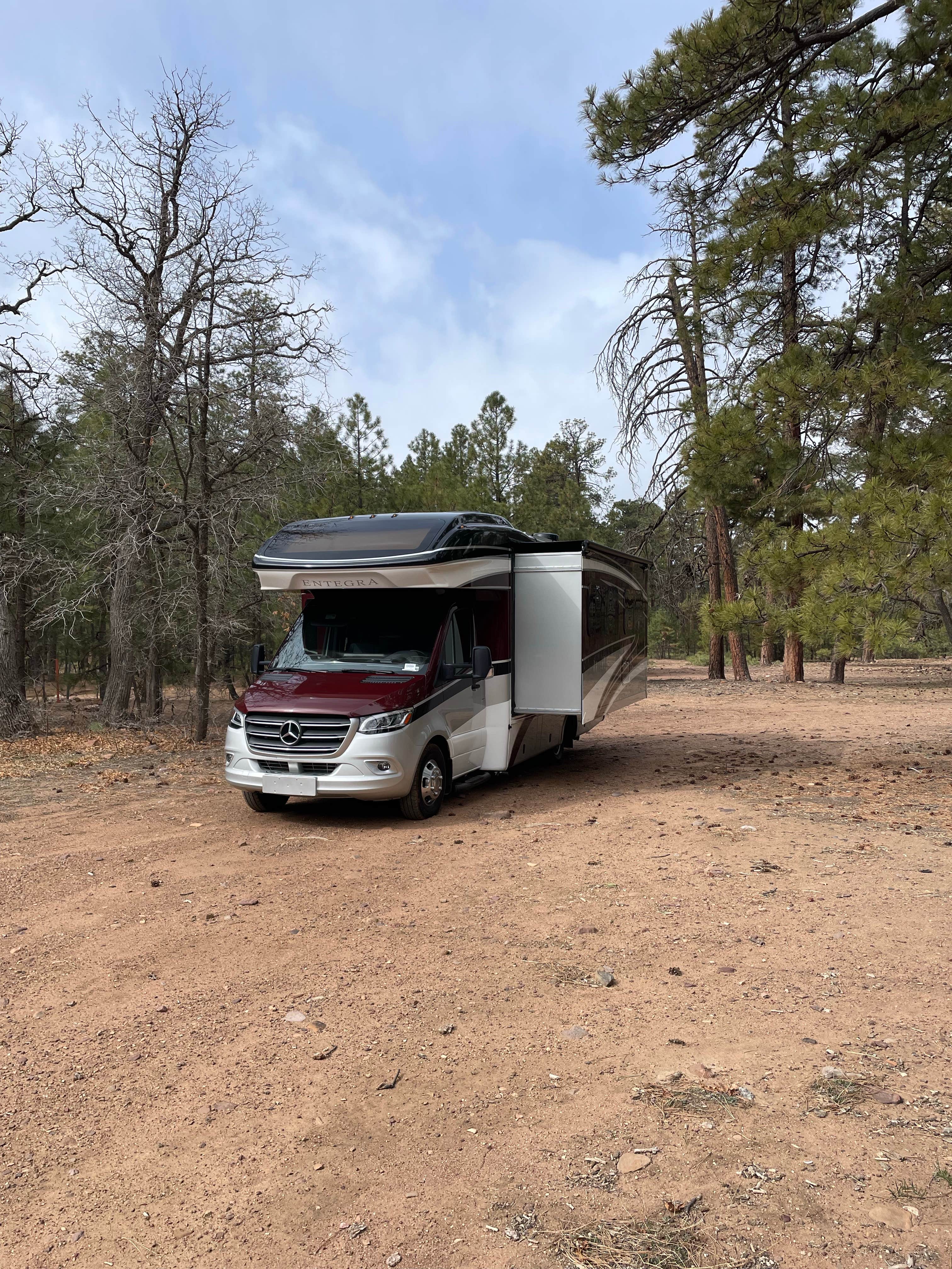 Camper-submitted photo at Rim Road near Cibecue, AZ