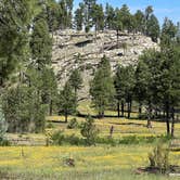 Review photo of Rim Road by Eric C., August 23, 2026