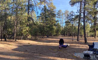 steven H.'s photo of a dispersed camping area at Rim Road near Young, AZ