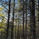 Review photo of Rim Rock Rd - FR 92 by Tommy R., October 17, 2026