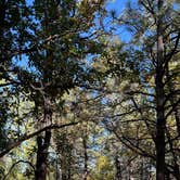 Review photo of Rim Rock Rd - FR 92 by Tommy R., October 17, 2026