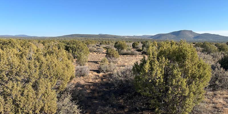 Camper submitted image from Rimrock Dispersed Site