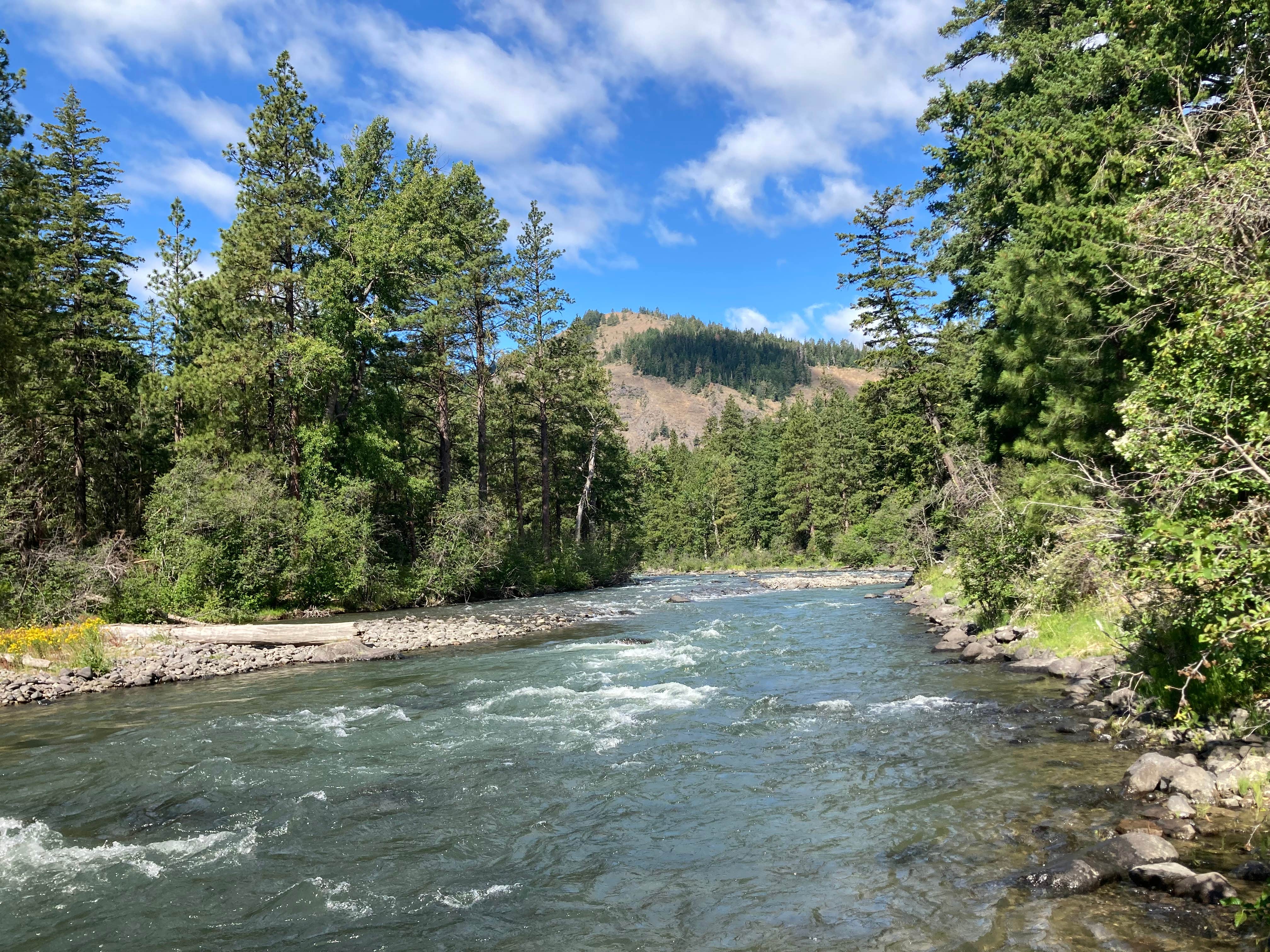 Camper-submitted photo at Rimrock - South Fork Bay Dispersed Camp near Goose Prairie, WA