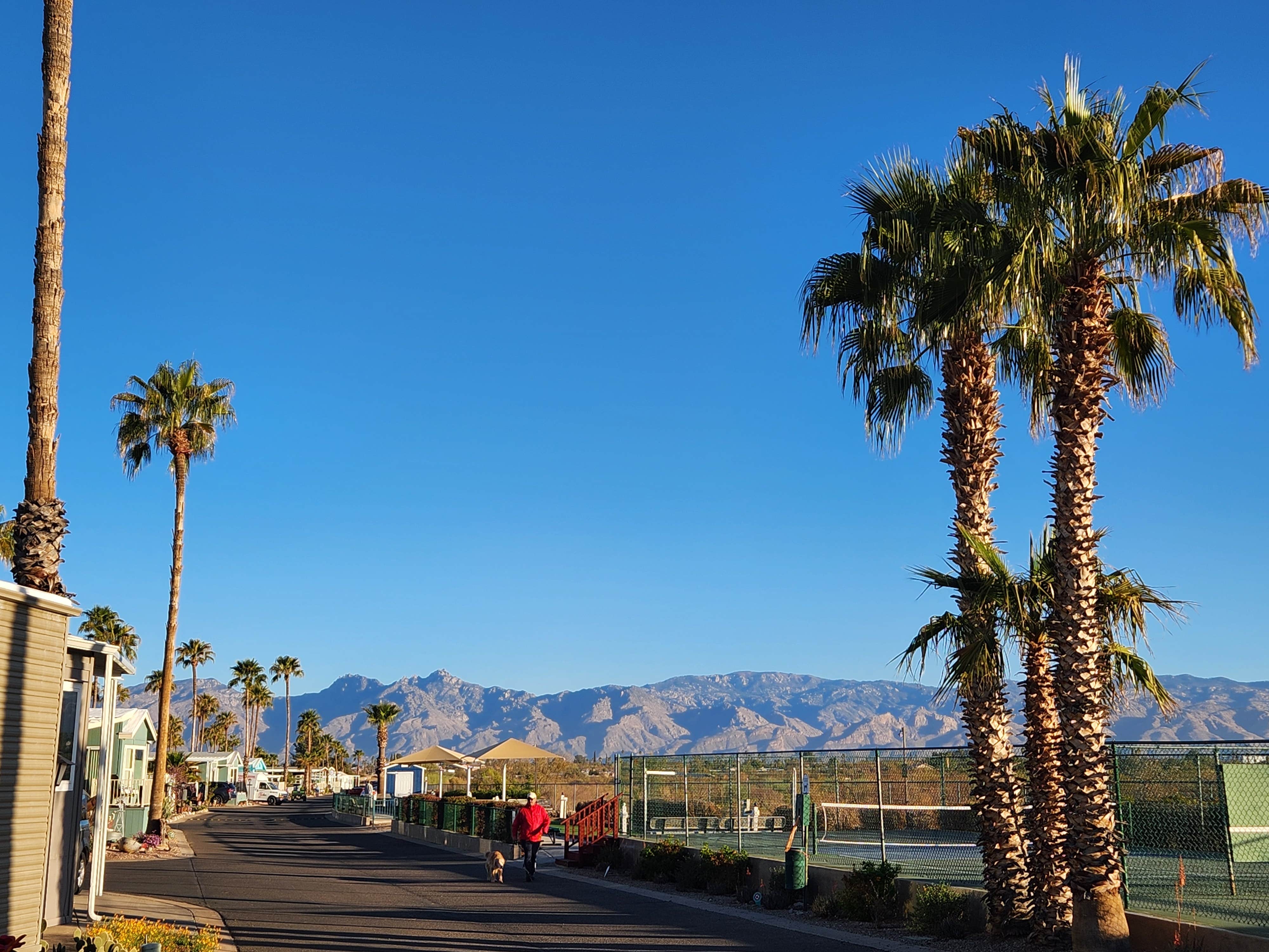 Patrick M.'s photo of camping with pets at Rincon Country East RV Resort near Saguaro National Park