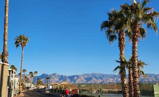 Patrick M.'s photo of camping with pets at Rincon Country East RV Resort near Catalina, AZ