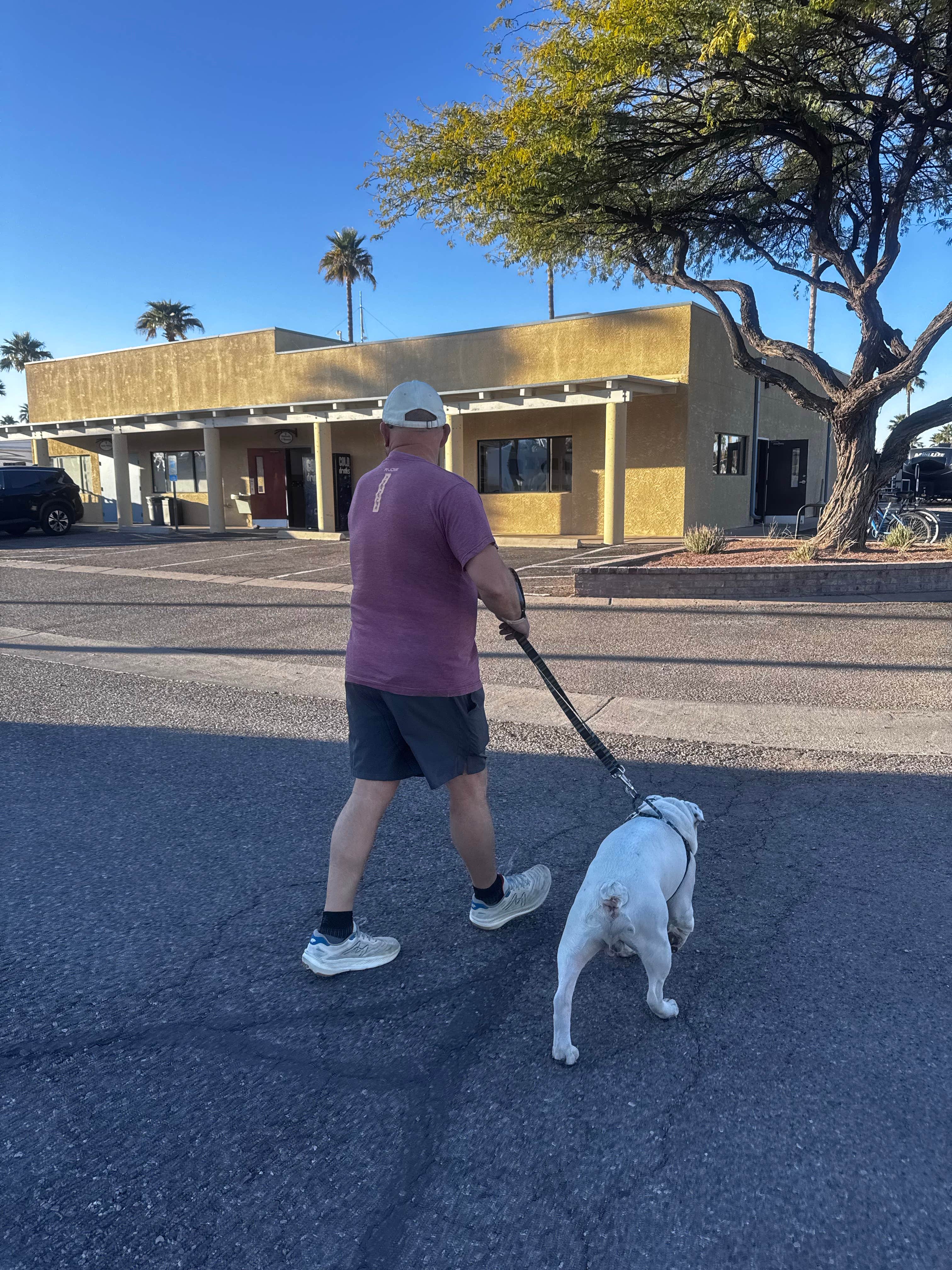 Camper-submitted photo at Rincon Country West RV Resort near Catalina, AZ