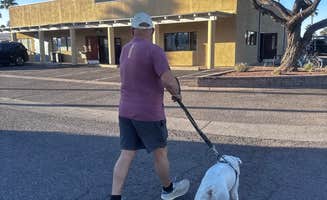 Angie S.'s photo of camping with pets at Rincon Country West RV Resort near Willow Canyon, AZ