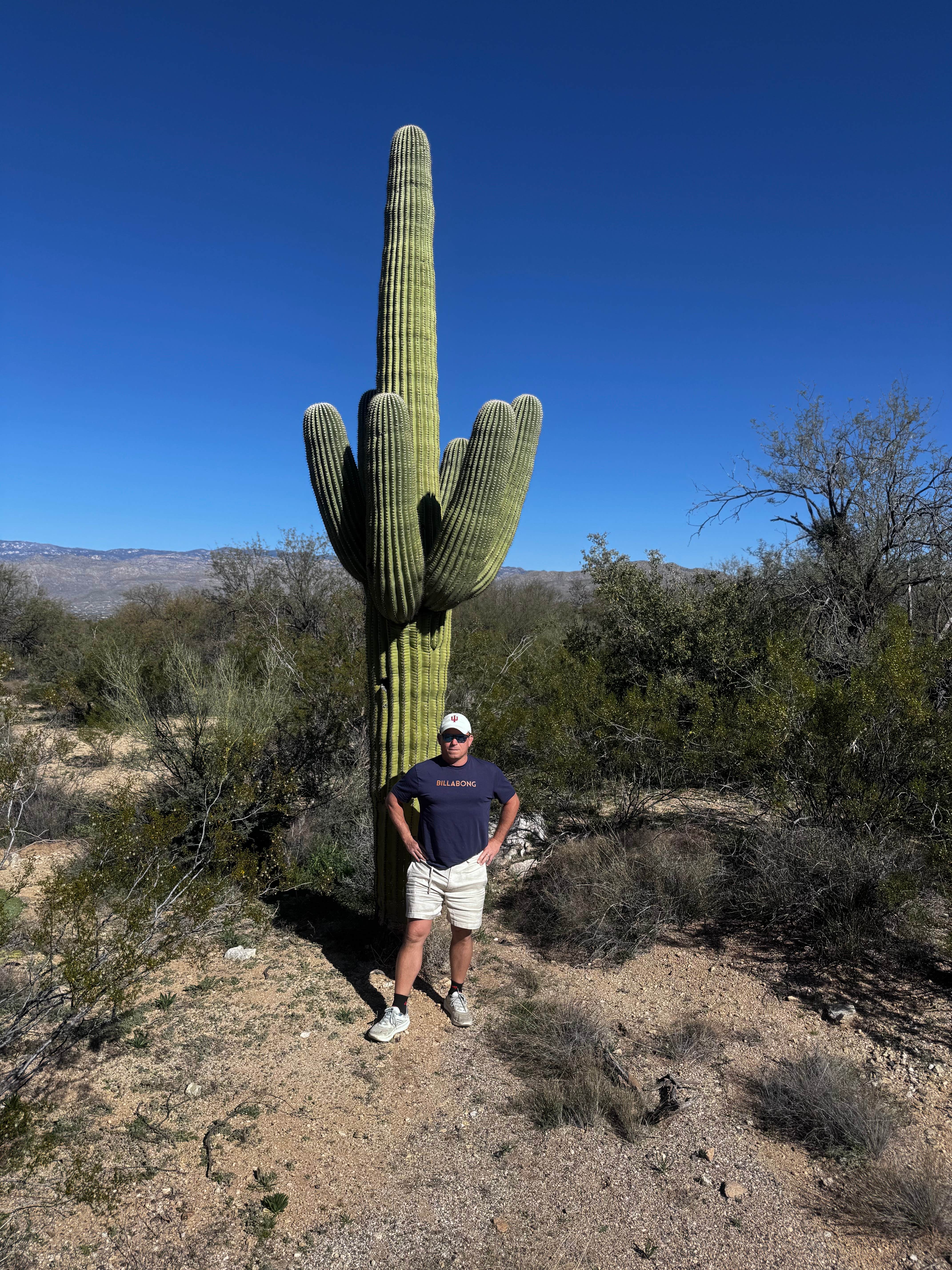 Camper-submitted photo at Rincon Country West RV Resort near Catalina, AZ