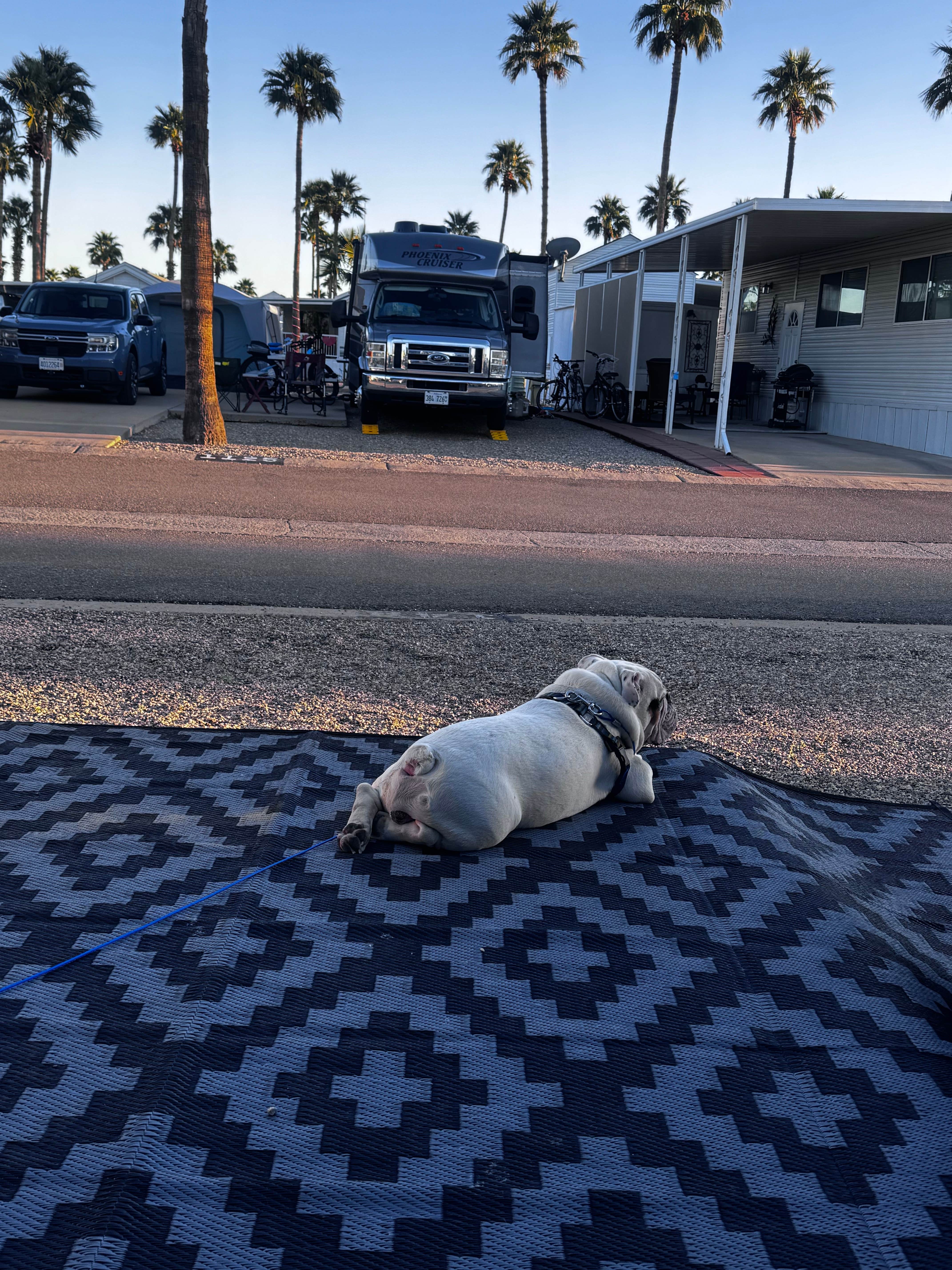 Angie S.'s photo of rv camping at Rincon Country West RV Resort near Catalina, AZ