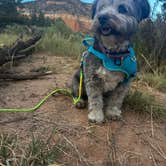 Review photo of Rio Chama Campground by Michael N., September 7, 2023