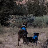 Review photo of Rio Chama Campground - Temporarily Closed by Michael N., September 7, 2023