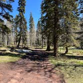Review photo of Rio Fernando de Taos - Forest Rd 5 by Meghan B., May 12, 2025