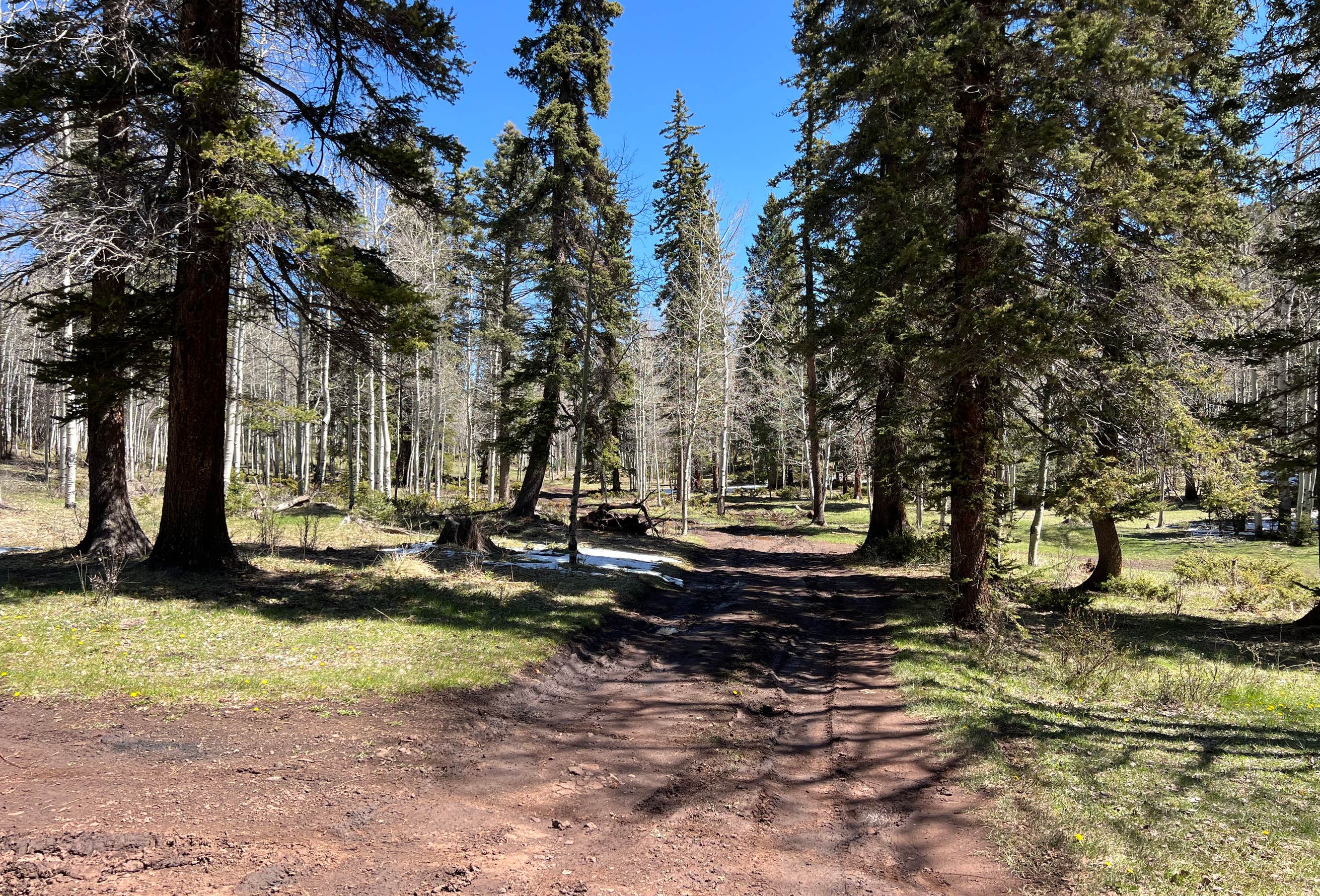 Forest Rd042 Rio Fernando de Taos - Forest Rd 5 Camping | Angel Fire, New Mexico