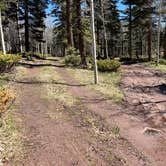 Review photo of Rio Fernando de Taos - Forest Rd 5 by Meghan B., May 12, 2025