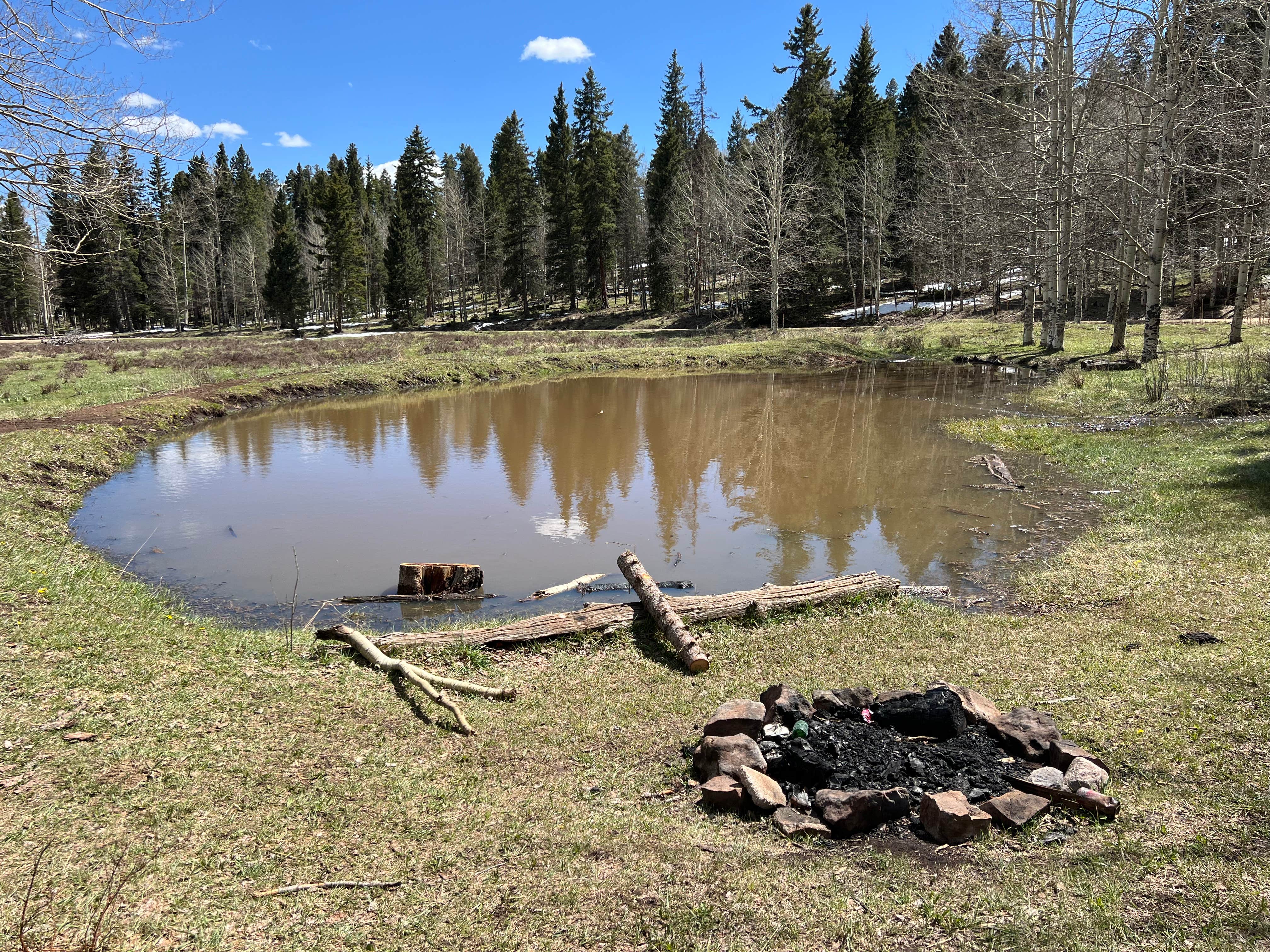 Meghan B.'s photo of a dispersed camping area at Rio Fernando de Taos - Forest Rd 5 near Peñasco, NM