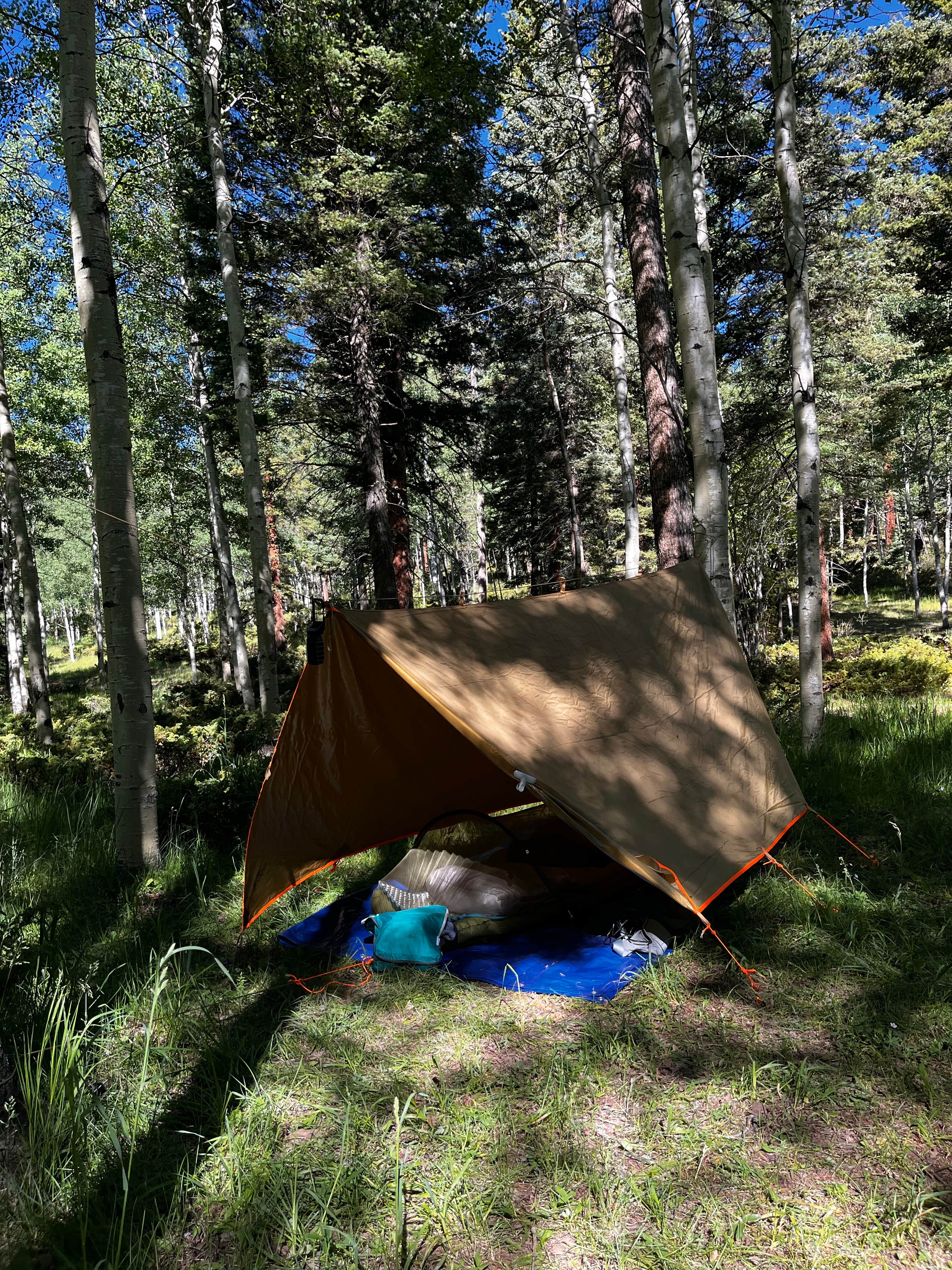 melissa B.'s photo at Rio Fernando de Taos - Forest Rd 5 near Ute Park, NM
