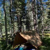 Review photo of Rio Fernando de Taos - Forest Rd 5 by melissa B., June 18, 2026