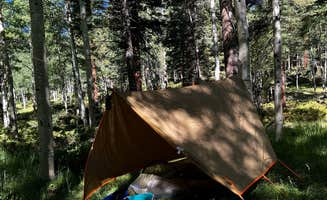 melissa B.'s photo at Rio Fernando de Taos - Forest Rd 5 near Ocate, NM