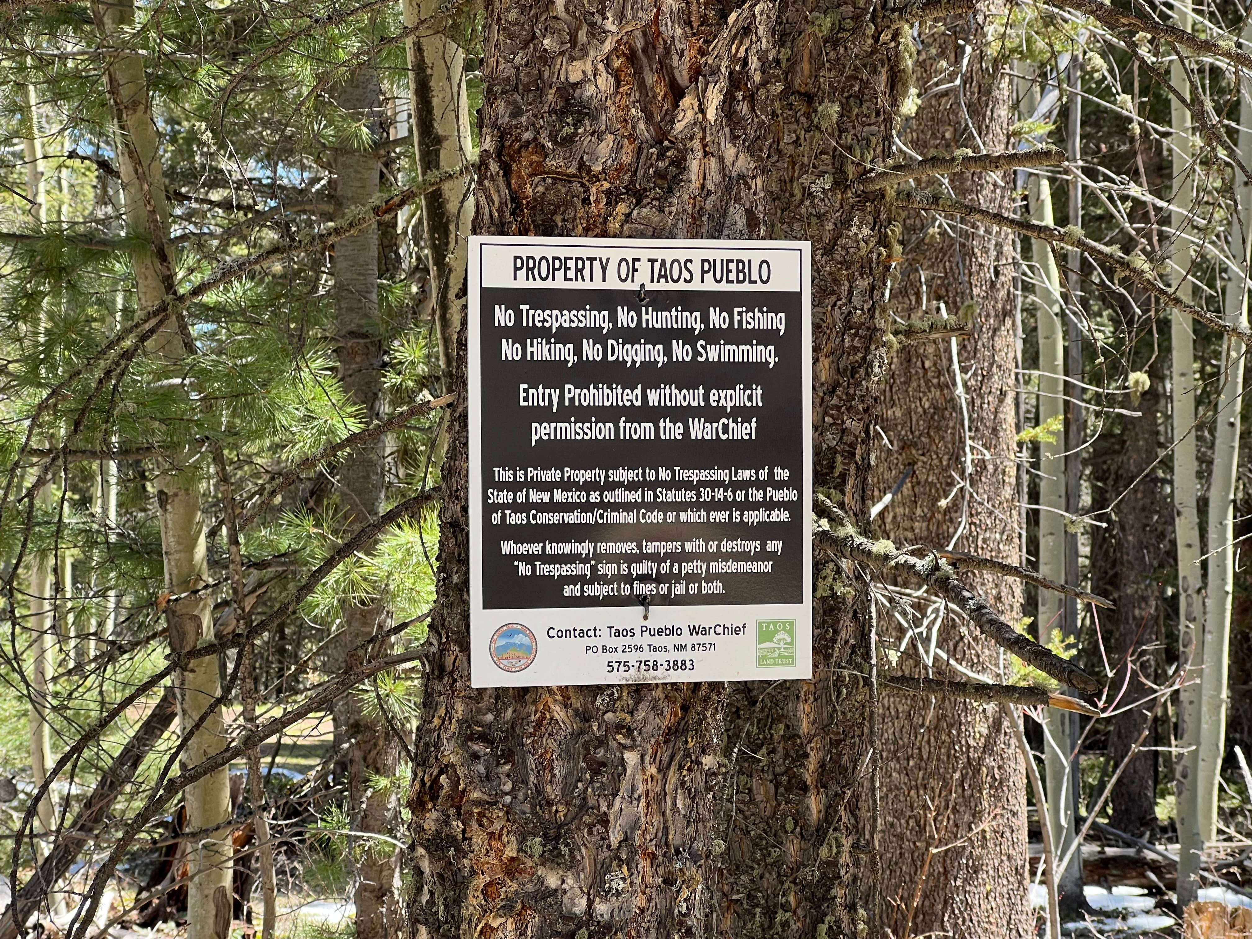 Camper-submitted photo at Rio Fernando de Taos - Forest Rd 5 near Angel Fire, NM