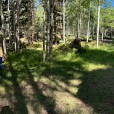 Review photo of Rio Fernando de Taos - Forest Rd 5 by melissa B., June 18, 2026