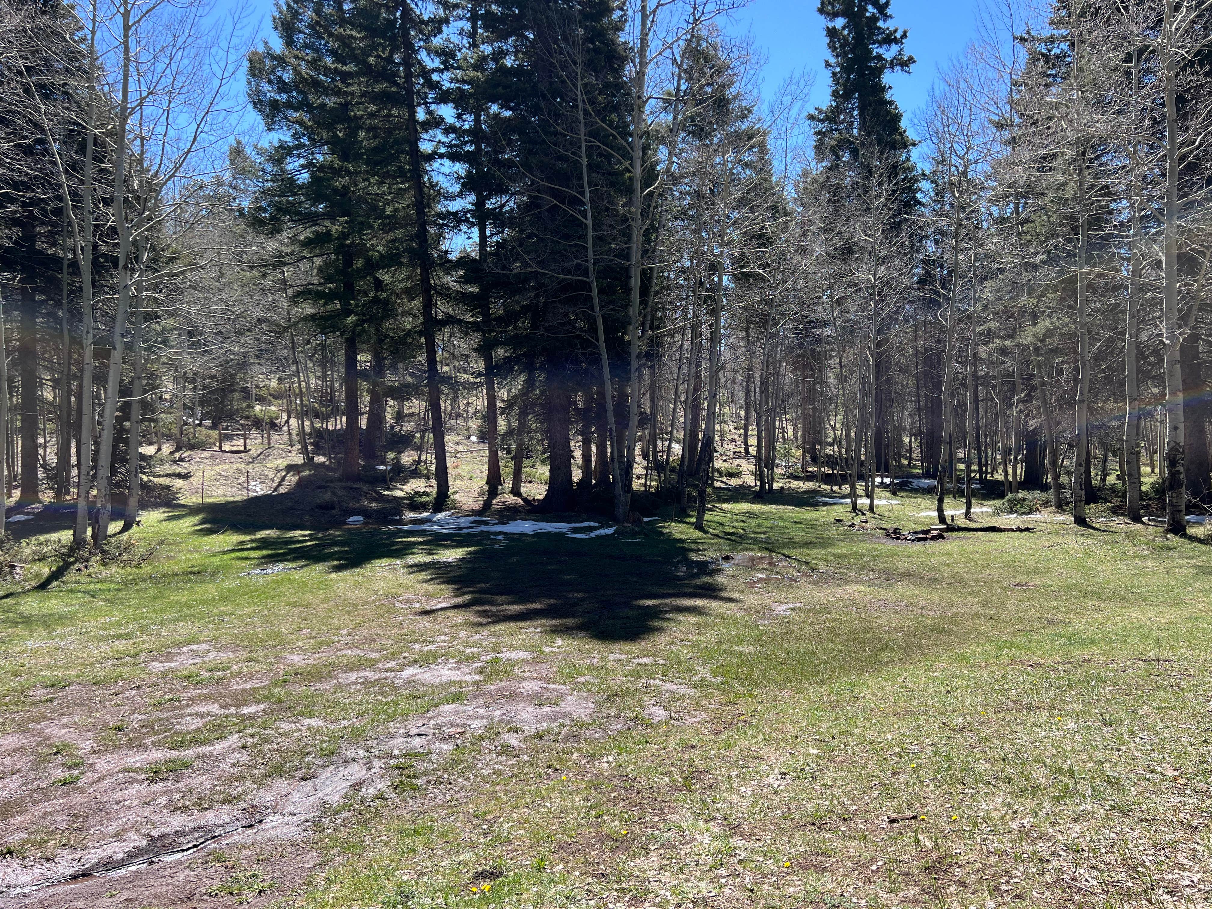 Camper-submitted photo at Rio Fernando de Taos - Forest Rd 5 near Angel Fire, NM