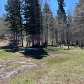Review photo of Rio Fernando de Taos - Forest Rd 5 by Meghan B., May 12, 2025