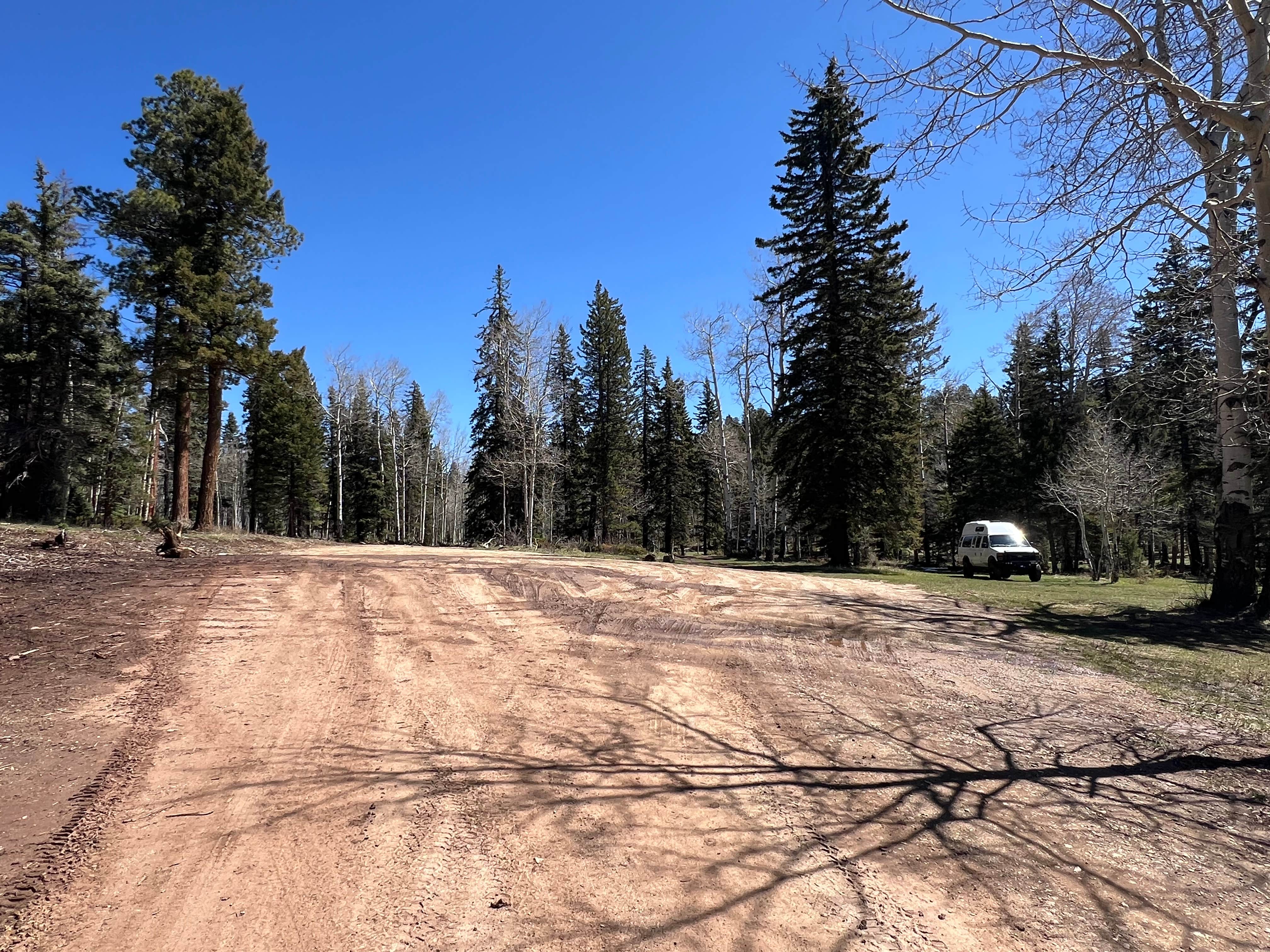 Camper submitted image from Rio Fernando de Taos - Forest Rd 5 - 3